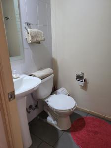 La salle de bains est pourvue de toilettes blanches et d'un lavabo. dans l'établissement Departamento en Curicó, à Curicó