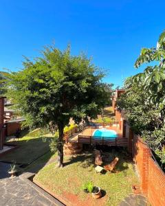 a yard with a tree and a swimming pool at Hiraya Apart in Puerto Iguazú