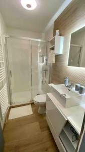 ein Bad mit einer Dusche, einem WC und einem Waschbecken in der Unterkunft Bel appt 42m² au cœur de Trouville 2mns de la mer in Trouville-sur-Mer
