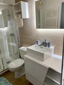 ein Bad mit einem WC, einem Waschbecken und einer Dusche in der Unterkunft Bel appt 42m² au cœur de Trouville 2mns de la mer in Trouville-sur-Mer