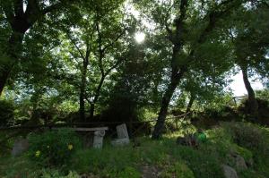 Zahrada ubytování Agriturismo San Vincenzo