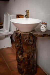 a bathroom with a sink made out of a wooden tree stump at Casa Sub Magrin in Satu Bătrîn