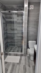a bathroom with a shower with a toilet and a sink at Ancora apartment 5 in Novi Sad