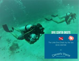 una persona en un equipo de buceo nadando en el agua en Derek's Place Eco-Lodge, en Little Corn Island