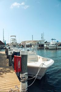 a white boat tied to a dock in the water at Captain Pip's Marina & Hideaway in Marathon