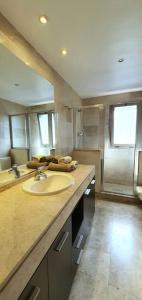 a large bathroom with a sink and a shower at Gran piso en zona comercial Malaga in Málaga