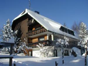 Dachsberg im SchwarzwaldにあるHaus Ingeborgの雪に覆われた建物(雪の中のバルコニー付)