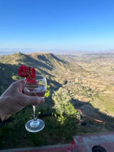 a person holding a wine glass with a flower in it at Panoramic View Hotel in Lalībela