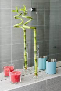 a vase with a plant in it on a table at Ferienwohnung Robi in Fulpmes