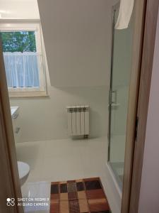 a bathroom with a shower and a toilet and a window at Bożenka in Niechorze