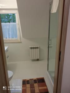 a bathroom with a shower and a toilet and a window at Dom Gościnny Bożenka in Niechorze +44 photos