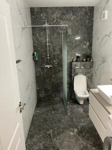 un bagno con doccia, WC e lavandino di Roxana Residence a Oradea