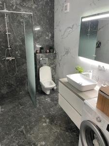 un bagno con doccia, WC e lavandino di Roxana Residence a Oradea Altre 10 foto