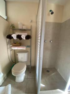 a small bathroom with a toilet and a shower at Hermoso departamento en Cuautlancingo in Santa María Coronanco