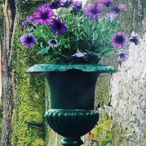 eine grüne Vase mit lila Blumen darin in der Unterkunft Gîte Le Pavillon in Les Sorinières