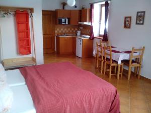 Kuchyň nebo kuchyňský kout v ubytování Apartments Anna