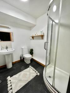 W łazience znajduje się prysznic, toaleta i umywalka. w obiekcie Cosy City Centre Apartment w mieście Inverness