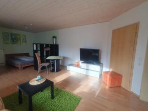 - un salon avec un canapé et une télévision dans l'établissement Apartment/Ferienwohnung im ruhigen Calden in der nähe von Kassel, à Calden