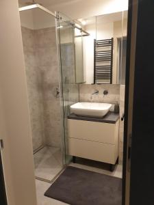 ein Bad mit einem Waschbecken und einer Glasdusche in der Unterkunft Apartma Vič Ljubljana in Ljubljana