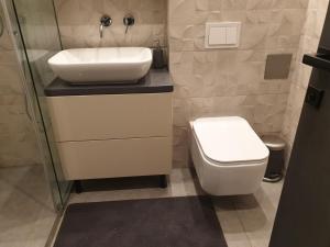 ein Bad mit einem Waschbecken und einem WC in der Unterkunft Apartma Vič Ljubljana in Ljubljana