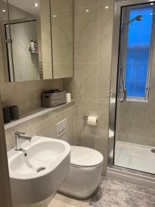 a bathroom with a sink and a toilet and a shower at 2 Bedroom Apartment just off Kings Road in London