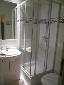 a bathroom with a shower and a sink at Hotel La Barakka in Lokeren