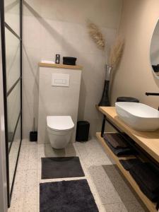 La salle de bains est pourvue de toilettes blanches et d'un lavabo. dans l'établissement Het Atelier, sfeervolle B&B compleet appartement in hartje Staphorst, à Staphorst