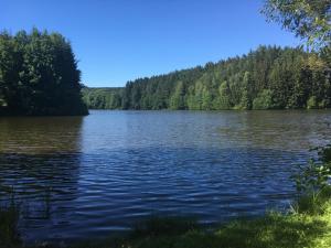 Blick auf einen See mit Bäumen im Hintergrund in der Unterkunft Nature Center Údolí volavek II in Weseritz