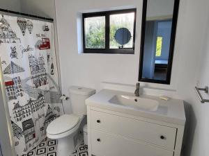 La salle de bains est pourvue de toilettes, d'un lavabo et d'un miroir. dans l'établissement Rockland Villa - Huge in the epicenter of Miami, à Miami