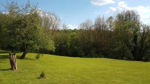 ein Feld mit grünem Gras und einem Baum darin in der Unterkunft Zselic Szíve Parasztház in Simonfa