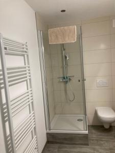 uma casa de banho com um chuveiro e um WC. em Casa Cremer em Übach-Palenberg
