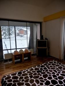 a room with a large bed and a television at Karbula Apartments & Villa in Mavrovo