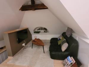 uma sala de estar com um sofá verde e uma televisão em studio 50m2 au bord de l'eau à STRASBOURG em Estrasburgo