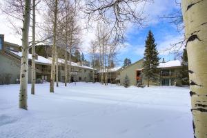 un patio cubierto de nieve con un edificio y árboles en The Forest Neighborhood by Keystone Resort, en Keystone