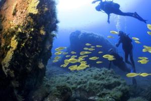 dos personas nadando en un acuario con peces en Charmant petit logement à 2 km (2 min) de la plage, en Belgodère