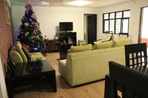 a living room with a christmas tree and a couch at Casa del Rio in La Cumbre