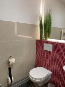 a bathroom with a toilet and a red tiled wall at Ferienwohnung Haus Ossenkopp in Dümmer