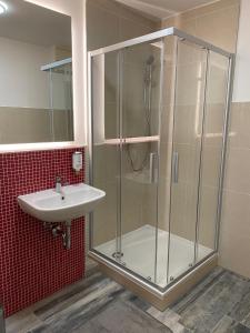 a bathroom with a shower and a sink at Ferienwohnung Haus Ossenkopp in Dümmer