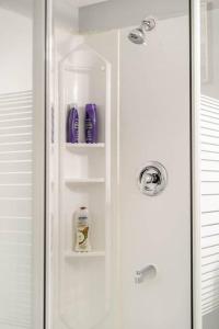 a shower door with shelves in a bathroom at Cozy nest basement unit in Hamilton