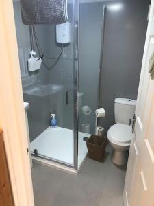 a bathroom with a shower and a toilet at Hideaway Cabin for two on edge of New Forest in Hinton