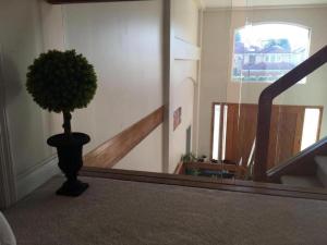 Fotografie z fotogalerie ubytování Xin Xin House v destinaci Richmond