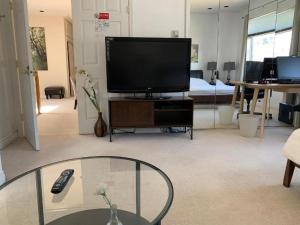 TV a/nebo společenská místnost v ubytování Xin Xin House