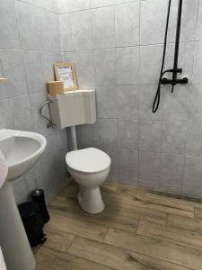 a bathroom with a toilet and a sink at Ana Cabana, colt de rai: Aer, Munte, Apa 