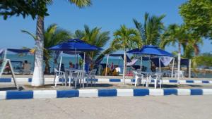 un grupo de sillas y sombrillas en una playa en Hotel Don Toño Tolú, en Tolú