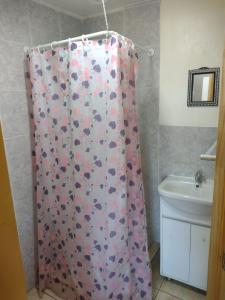 a bathroom with a shower curtain with a sink at Departamento Rayen Karu in Puerto Montt