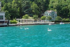 Tres cisnes nadando en el agua frente a una casa en Le pavillon du lac en Duingt