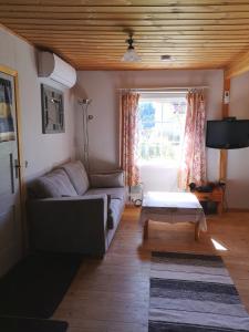 TV a/nebo společenská místnost v ubytování Viken - Cottage by Dalslands Canal