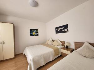 Postel nebo postele na pokoji v ubytování Apartments Jelica