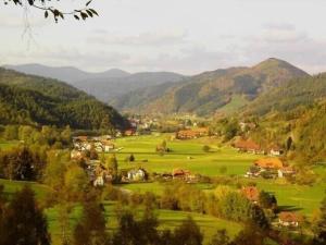 un pueblo en un valle con montañas en el fondo en Lovingly furnished holiday apartment in our Black Forest house, en Gutach
