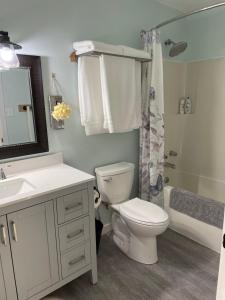 a bathroom with a toilet and a sink and a shower at Sunrise Mountain view Skidegate House 
